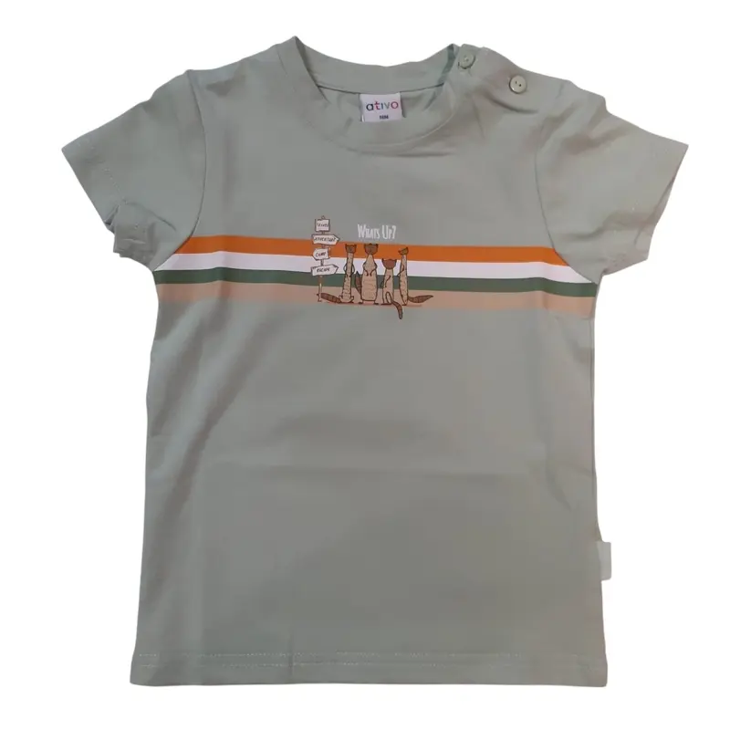 Ativo T-Shirt Bambino Verde In Cotone ND2576