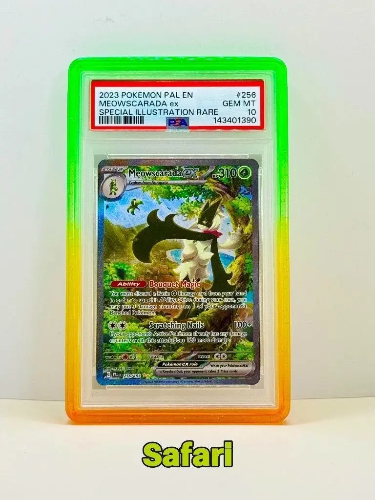 BumperGuard Safari