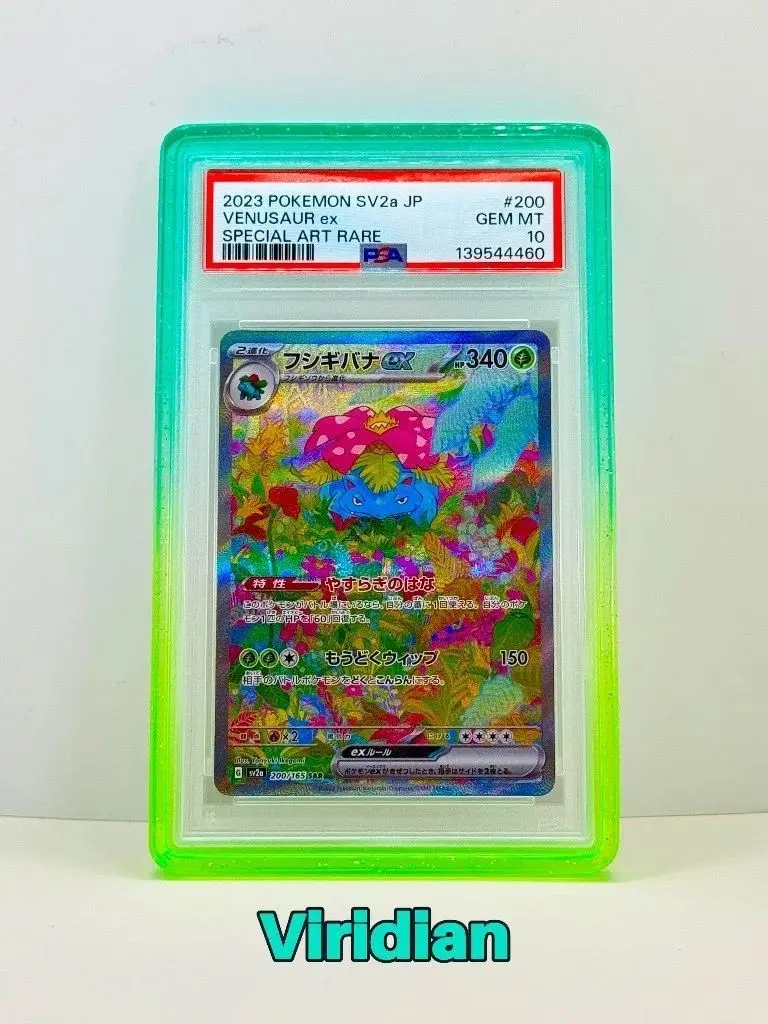 BumperGuard Viridian