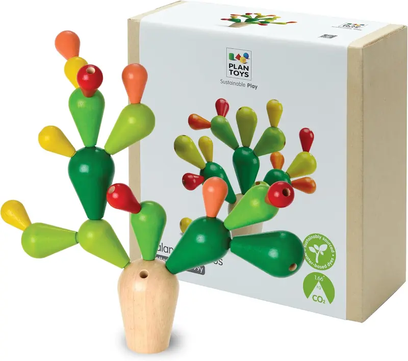 Cactus dell’equilibrio