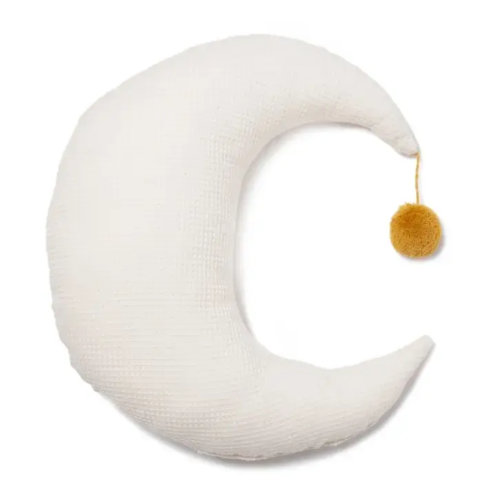 Cuscino Luna in velluto