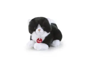 GATTO BIANCO NERO TRUDINO