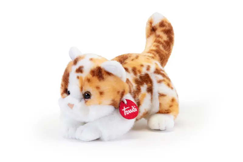 GATTO MACULATO BRAD S