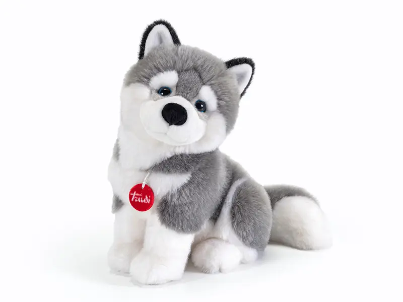 HUSKY MARCUS M SEDUTO