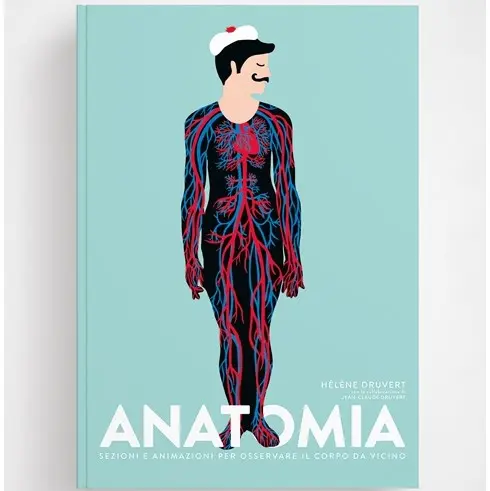 Ippocampo "Anatomia" di Hèléne Druvert