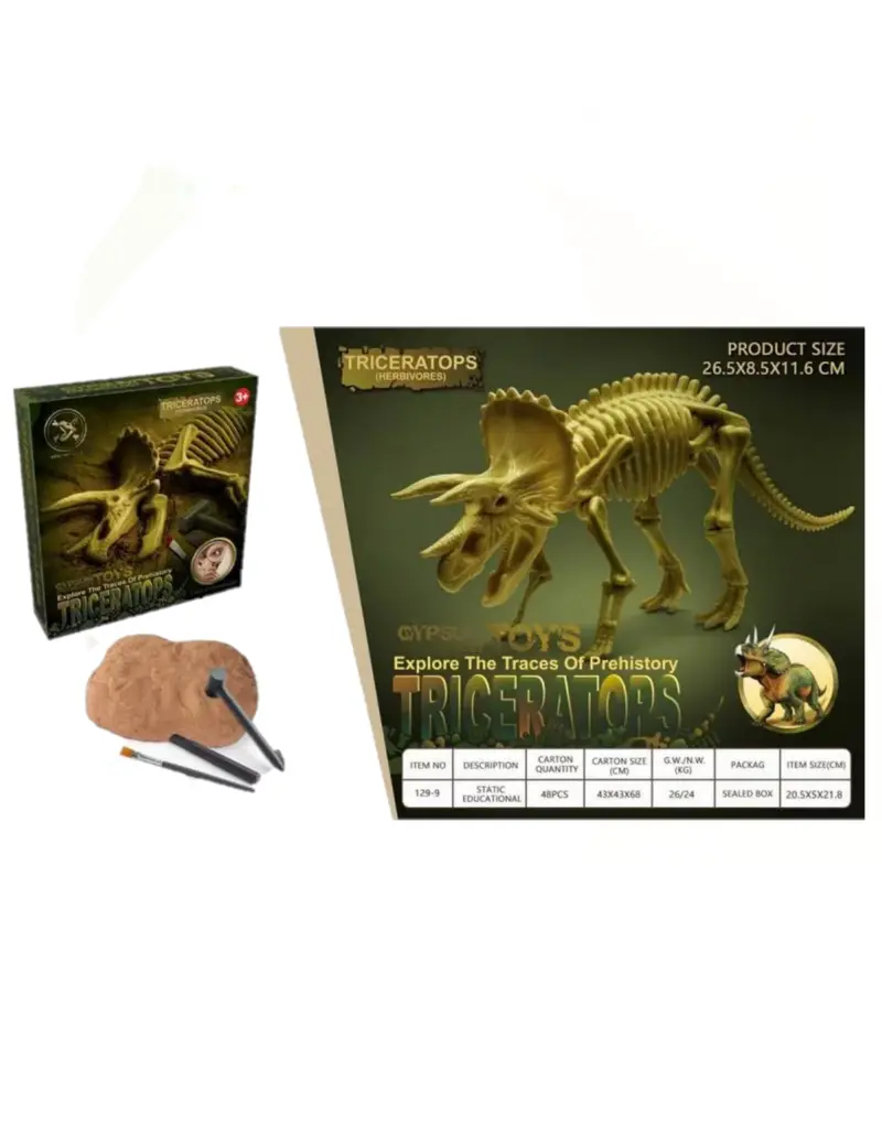Kit dell’ Archeologo – Triceratopo