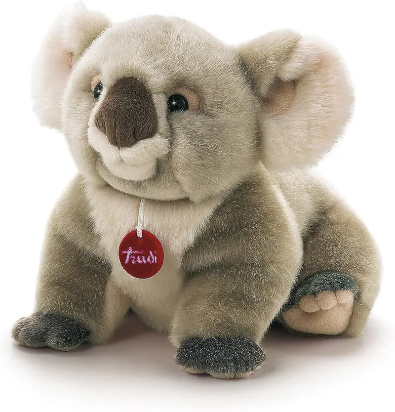 KOALA JAMIN M