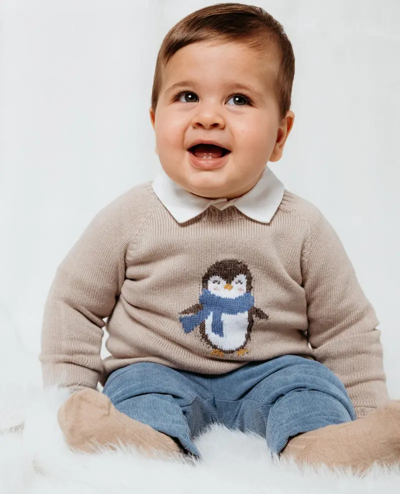 Maglione lavorato a maglia Pinguino