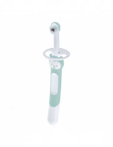 Massaggiagengive Training Brush - Dai 5 mesi