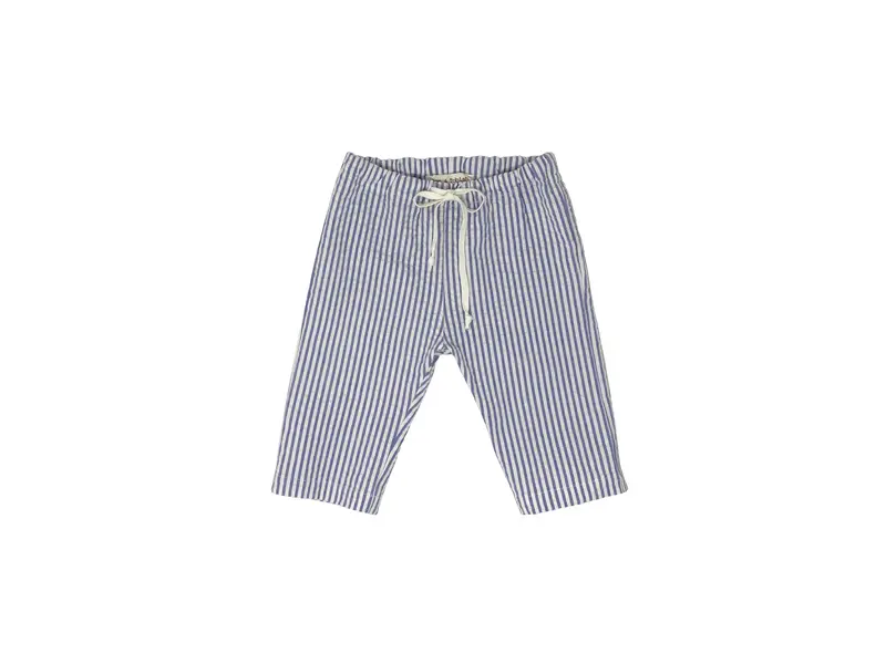 Panta