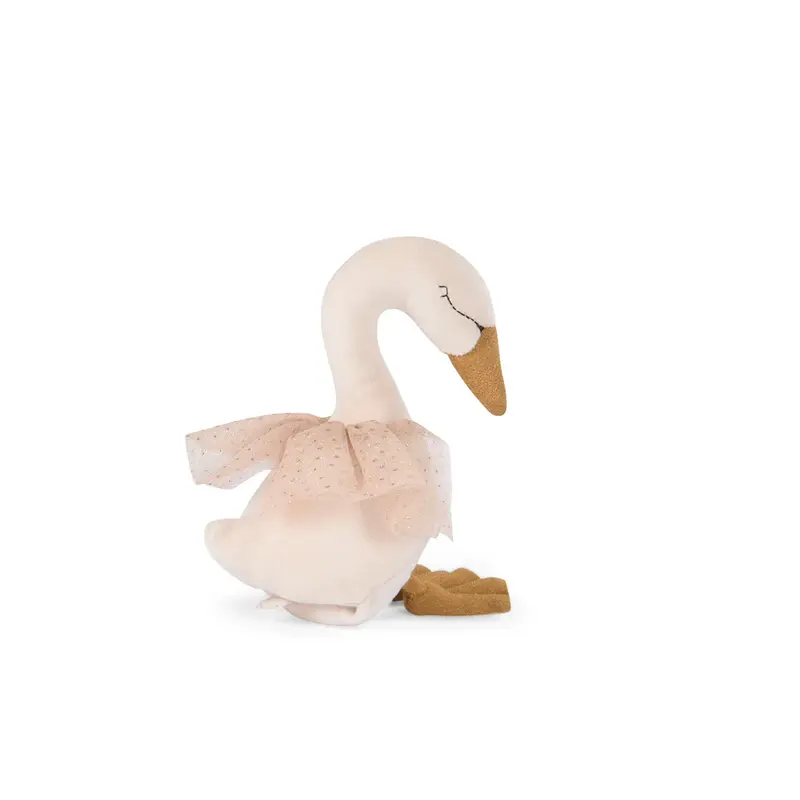 Piccolo cigno musicale Ecole de Danse