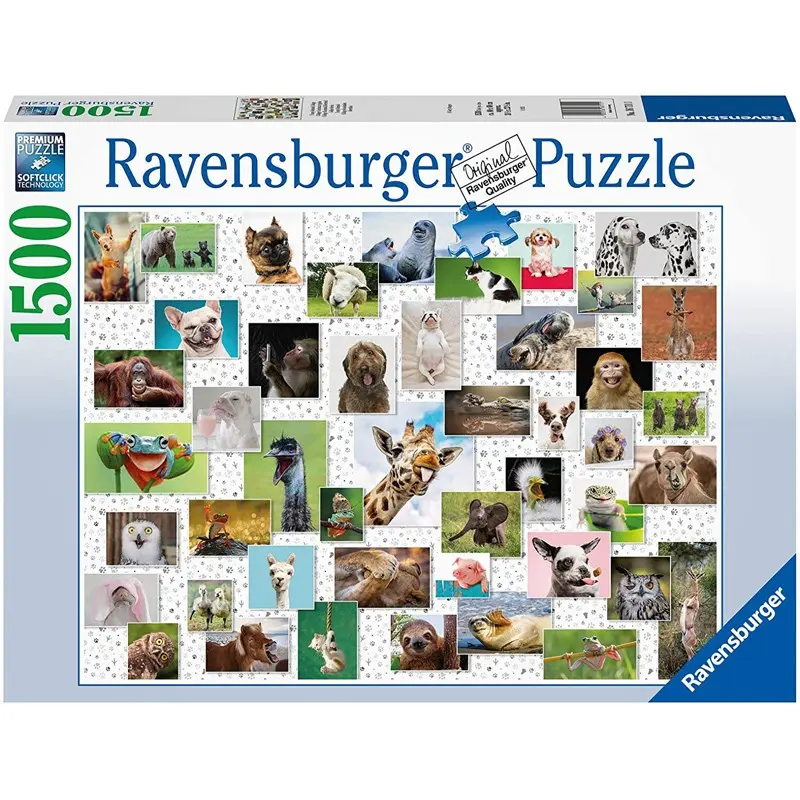 Puzzle Collage di animali divertenti
