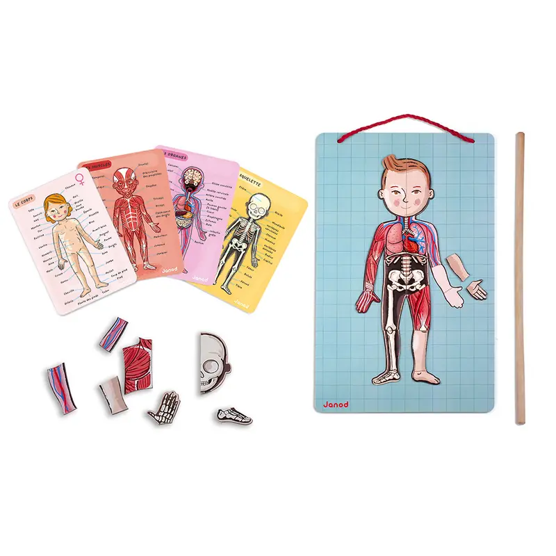 Puzzle magnetico - “Bodymagnet” Corpo magnetico