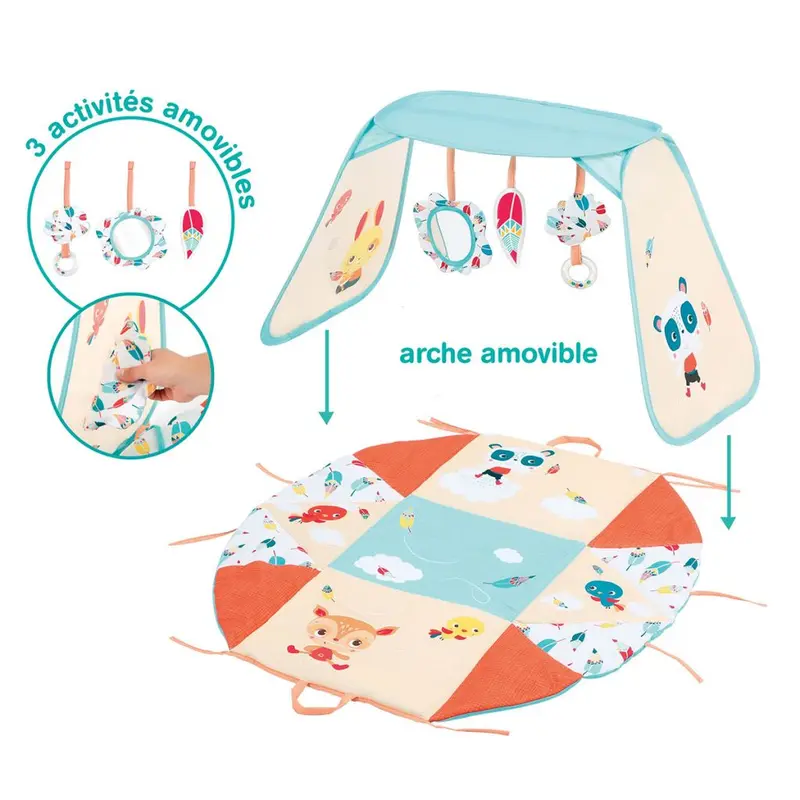 Tappeto attività evolutivo