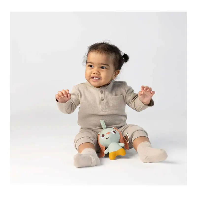 Tiny Love - Tiny Smart Bunny